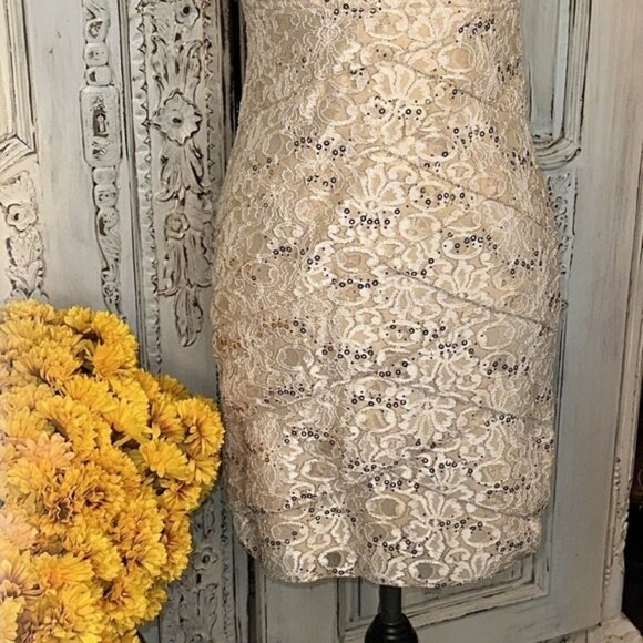 Scarlett Tan Lace and Sequins Short Sleeve Special Occassion Party Dress Size 6 - Picture 3 of 11